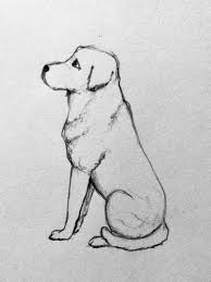 Quadrati, triangoli, cerchi ed ellissi si incontrano e prendono forma. Come Disegnare Un Cane 5 Passaggi Illustrati Wamiz