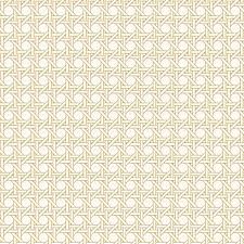 ► o que você vai aprender nesta aula: Papel De Parede Palha Marrom 1740 No Elo7 Wp Decor 594ed9