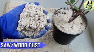 How to use wood shavings in the garden. Saw Dust Wood Dust For Plants And Gardening The Nitrogen Stealing Concept Hacks Youtube