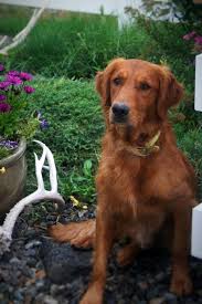 Cara tukar tarikh masihi ke hijrah tahun masihi ke hijrah tahun masihi ke hijrah 40 info nama anak muslim lahir bulan oktober 2019 nama kalendar kalendar islam kalendar hijrah tahun 2019 bagi malaysia. Aba Parent Training Materials Pdf