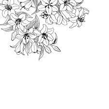 Kartinki Po Zaprosu Black And White Flowers Flower Doodles Floral Doodle