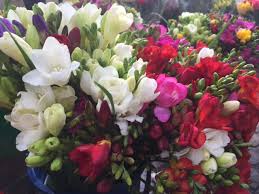 Autentic music, big man impex, amma record, grand production bursuc, vip music, play music. Sfat Pentru BÄƒrbaÈ›i Unde GÄƒsiÈ›i Paradisul Florilor Ieftine E Cool SÄƒ Fii TÄƒtic