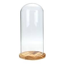 We did not find results for: 33x15cm Glass Dome Wooden Base Cloche Bell Jar Display Stand Micro Landscape Dried Flower Diy Vase Dataglove Com