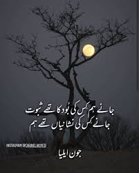 Pin By Jaunelia On Jaun Elia Collection Urdu Poetry Romantic Poetry For Lovers John Elia Poetry