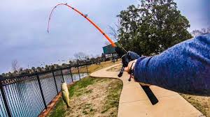 The satisfactory feeling you get when catching a fish picking a good fishing pole might be confusing, but we're here to make it a little easier and help you decide! Fishing Pole Walmart Online Off 54
