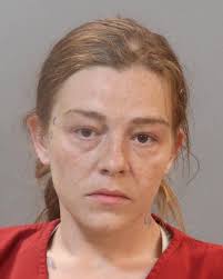 Recent arrest records available online