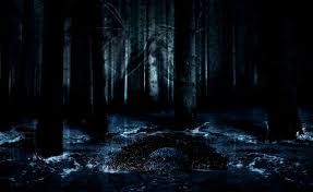 Anime Lover Anime Dark Forest Background Background darkness forest wattpad wattpadresources wattpadgraphic wattpadtextures. anime lover anime dark forest background