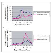 Migraine In Menopause