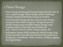 Bunga ini memiliki benang sari dan kepala putik pada satu duduk bunga. Bagian Bagian Bunga Lengkap Berserta Penjelasan Dan Fungsinya Ppt Download