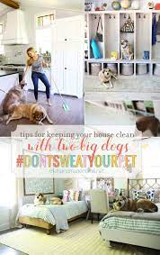 How To Keep Your House Clean With Pets The Handmade Home Clean House Low Maintenance Pets Pets