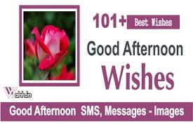 Looking for good afternoon text messages ? Good Afternoon Wishes Best 101 Good Afternoon Sms Messages With Images Wahh