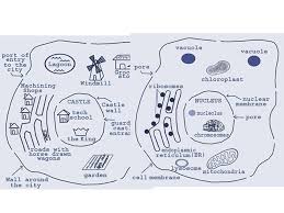 Maybe you would like to learn more about one of these? Cell Analogies A Cell Is Like A City Ppt Video Online Download