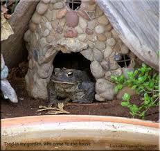 We did not find results for: Miniature Door 1 12th Scale Toad House Toad Frog House