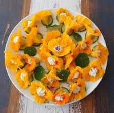Not that it ever really went to seed, mind you. Edible Flowers Northey Street City Farm