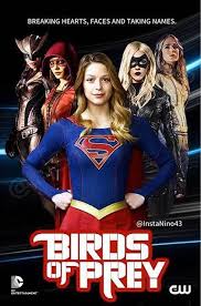 Birds Of Prey Cw Cast Hawkgirl Speedy Supergirl Black Canary White Canary The Women Of Dc Tv Universe Supergirl Superman Dc Comics Women Supergirl Tv