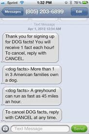 It's the most favorite tradition among pranksters. 10 Funny Texts Ideas Funny Texts Text Pranks Funny Text Messages