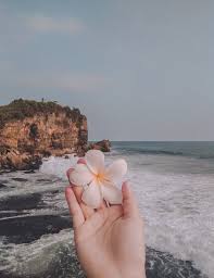 We did not find results for: Pin Oleh Nayely Di Lockscreens Fotografi Seni Bunga Matahari Fotografi