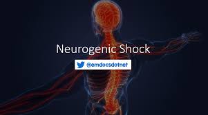 Neurogenic Shock: Definition, Identification, and Management in the ED -  emDocs