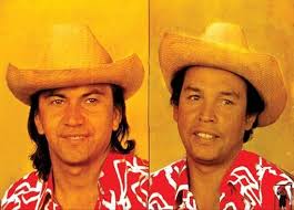 VIOLA MINHA VIOLA (EN ESPAÑOL)