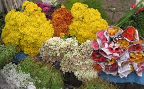 Marigolds are associated with dia de los muertos, or the day of the dead. Bangalore Morning Flower Market Bloomsvilla