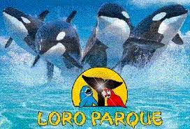 Resultado de imagen de imagenes de loro parque