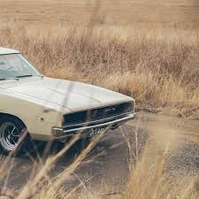 Image result for Beige 1969 Charger