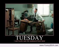 101 happy tuesday inspirational quotes. 55 Funny Tuesday Quotes And Images With Inspirational Messages