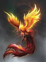 Descubre 160 ideas de Ave Fénix - Phoenix bird y ave fenix | fenix, ave  fenix dibujo, tatuaje de fénix y más
