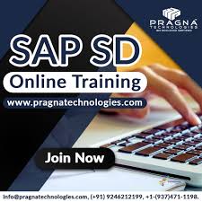 Pin Pa Sap Sd Online Training