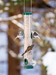 Why do birds enter the garage? Feeding Birds In Winter Follow These 5 Tips Bob Vila