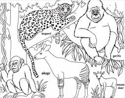 Jungle animal coloring sheets animal coloring pages. Jungle Coloring Pages Best Coloring Pages For Kids