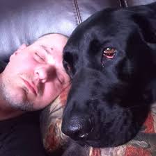 Polaris wireless winch in-cab switch install