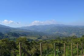 Please indicate the best category for your legal issue: Spezialitaten Kaffee Guatemala Lampocoy Kaufen Kaffeerosterei Martermuhle