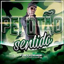 Mc bo do catarina · single · 2018 · 1 songs. Mc Cidinho General Albums Songs Playlists Listen On Deezer