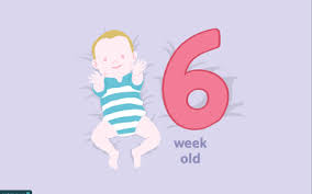 Your 2 Week Old Baby Development Milestones