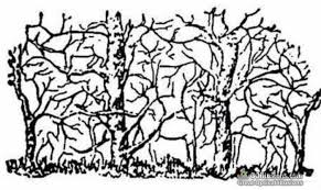 For centuries, optical illusions have used our visual shortcuts and brain inklings against us, turning everyday objects into false 3d images, strange floating ships, and seriously confusing. Great Optical Illusions Funny Photos And Images Brain Teasers Puzzles Hidden Animals Optical Illusion