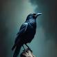 Crow – Art Workshop with Country Canvases event image