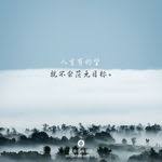 2019 02 16今日图片分享 creative design home decor decals creative