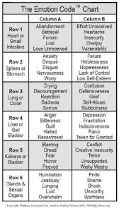 magnetic healing the body code healing system