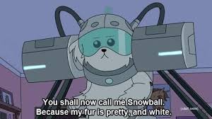 Birdman Rick And Morty Voice Actor Julieta Colas On Rick Morty Quotes Rick Morty Characters Rick Morty