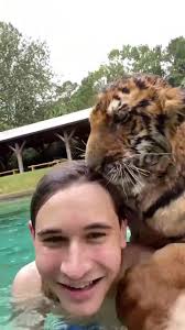 Morning swim with little Karuna💦🐯