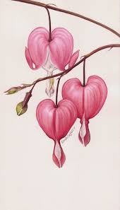 Eunike Nugroho Dicentra The Bleeding Heart 564 986 Flower Drawing Botanical Painting Botanical Illustration Tattoo