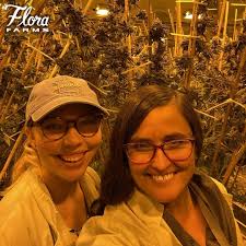 SAP and Other Strains Growing Now