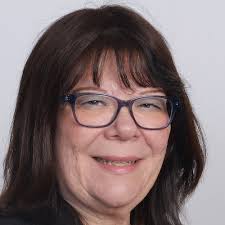 What are disadvantages of HMO?