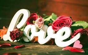 You will find a lot of roses wallpapers with various elements and lines,beautiful hearts and diamonds with shiny elements. Heart Flowers Typography Love Rose Wallpapers Hd Desktop And Mobile Backgrounds
