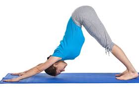 29 Best Exercises To Increase Height Easy Yoga Poses Yoga Poses For Back Yoga Poses