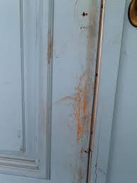 Pin On Why Dogs Scratch Doors