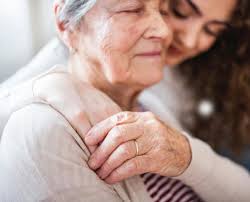 Pulse Q2 2024 by Wheelhouse Publishing