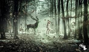 Every day new pictures, screensavers, and only beautiful wallpapers for free. Girl And Deer Fantasy Abstract Background Wallpapers On Desktop Nexus Image 2528179
