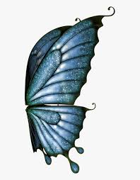 Your kids will love the various shaped wings on the butterflies with beautiful designs. 10 Butterfly Wings Png Hd